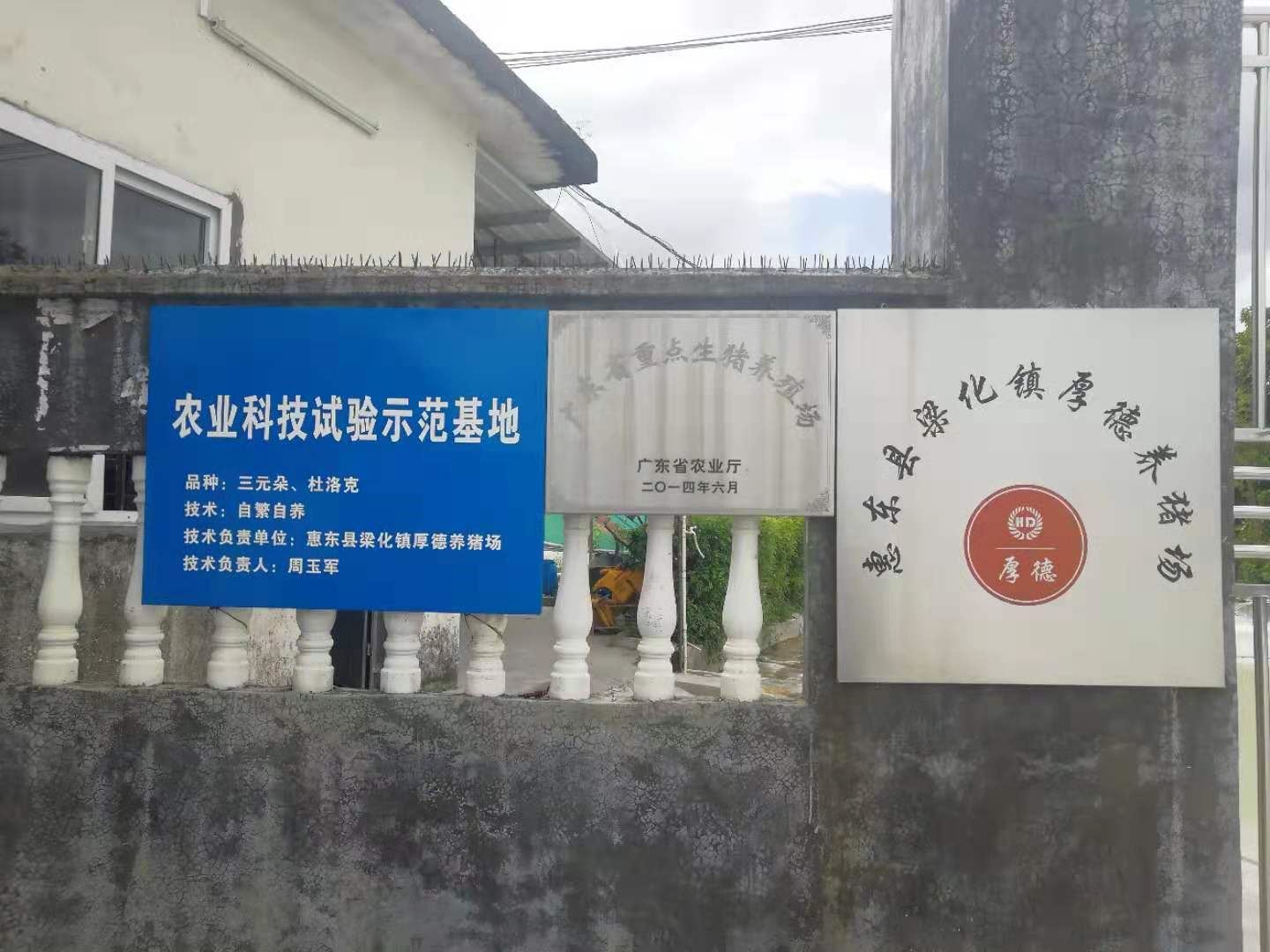 惠州惠东县梁化镇厚德养猪厂沼气发电养殖污水处理